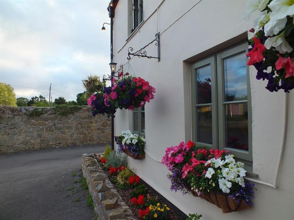 Couette-café The Babbling Brook Bridgwater